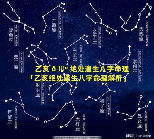 乙亥 🐺 绝处逢生八字命理「乙亥绝处逢生八字命理解析」